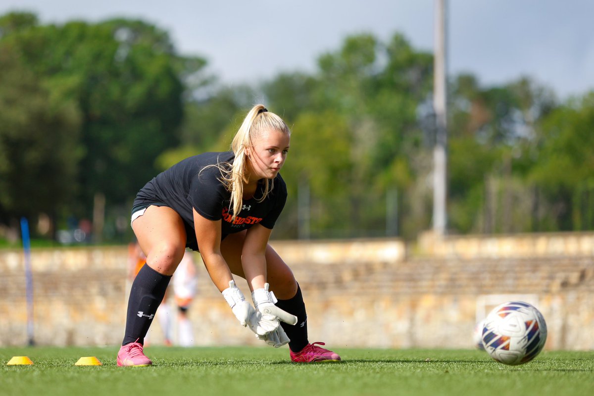 Layla Amaya tweet media