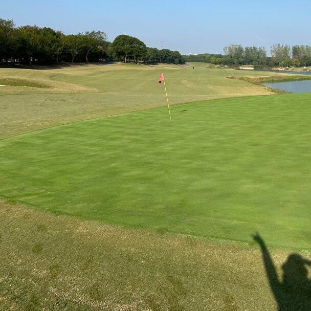 dsfdgdfdff's tweet image. Playing golf is a way of life and a way of self-cultivation