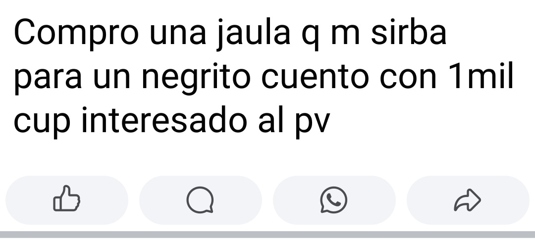 Alguien que le diga q eso es ilegal 😀😂