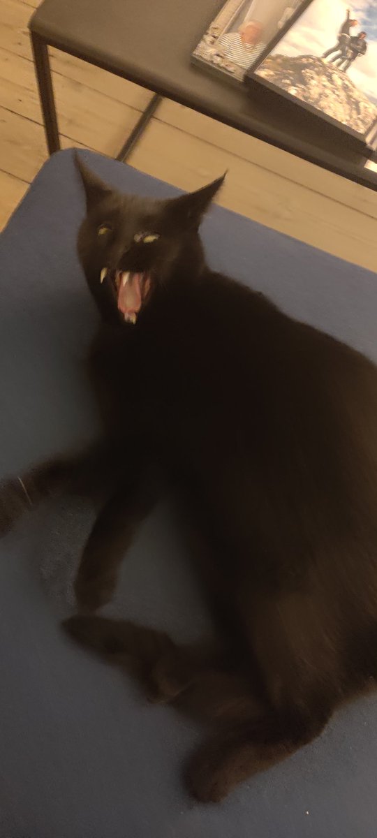 Hvide (@hvide300) on Twitter photo 