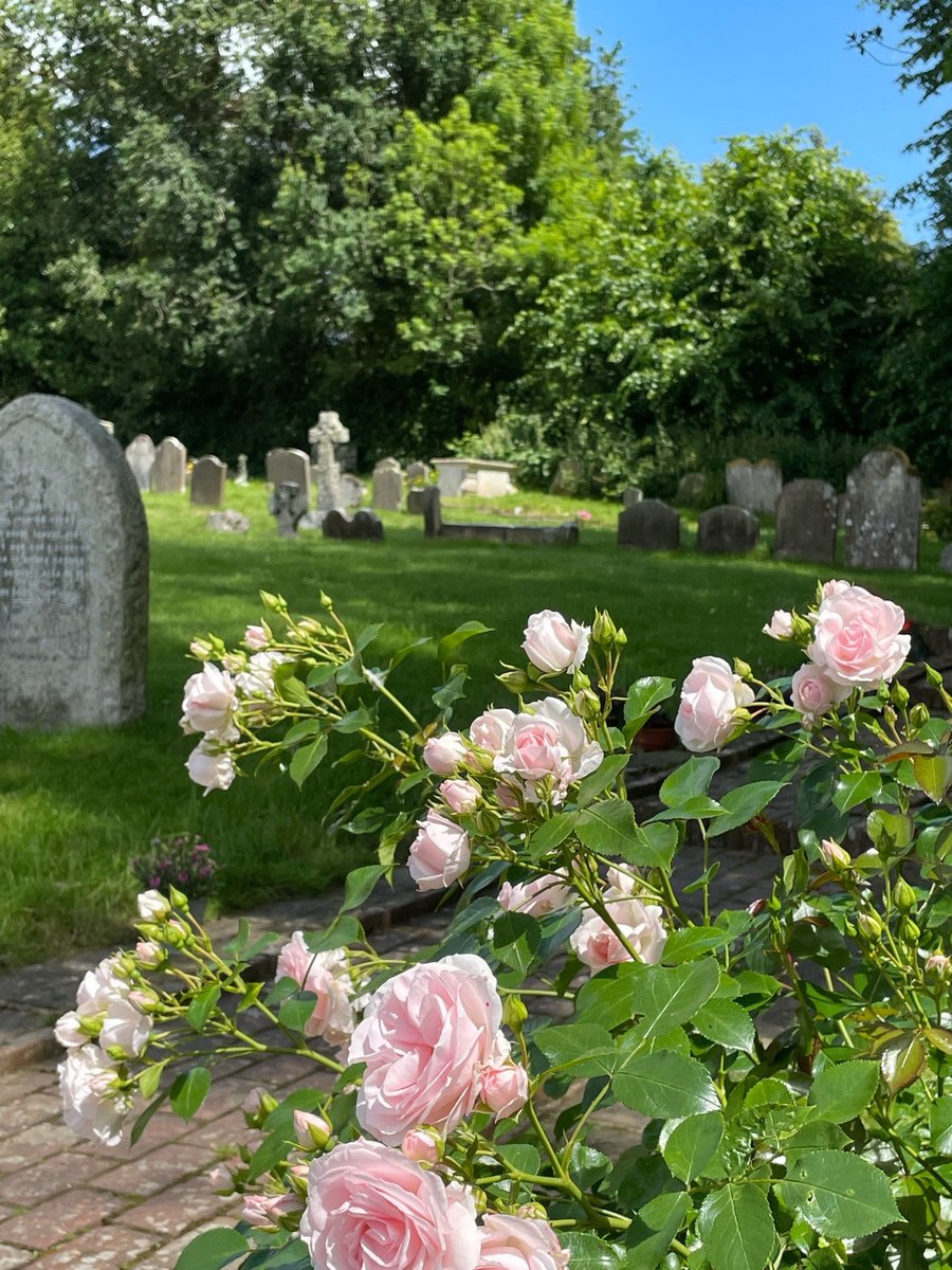 For the beauty and a lighthearted but true reminder that we only have a short time on this beautiful planet.🍃