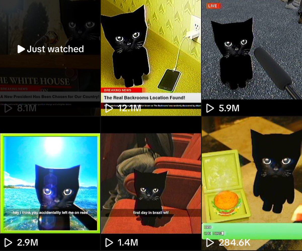 bro the cat tweet media