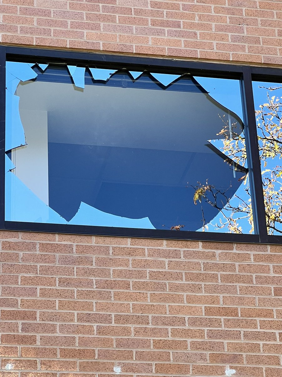 Dustin Ivers tweet media