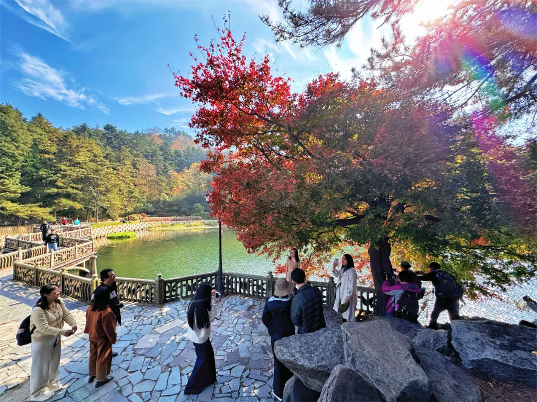 Visit_Jiujiang's tweet photo. Lushan Mount  in early winter is colorful and fascinating.#Lushan #Jiujiang #Winter https://t.co/oXIonKPaNY