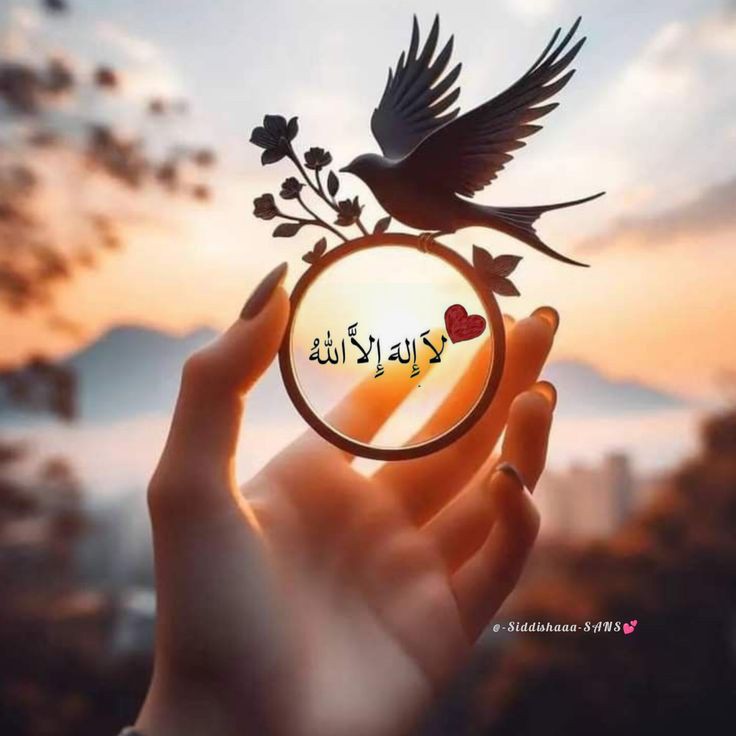اسلام علیکم 
سب سے افضل ذکر:
لا الہ الااللہ محمد رسول اللہ 💓💓
