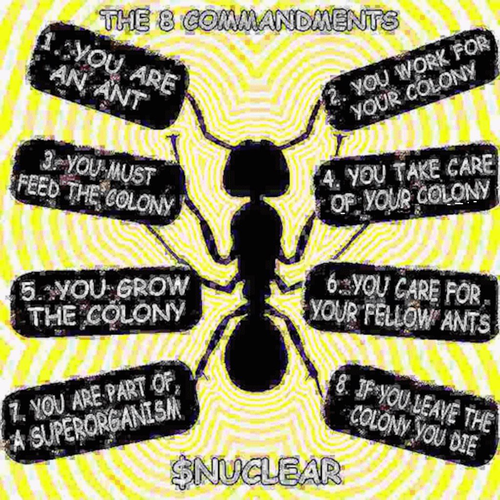 nuclearcomp's tweet image. First rule

You are an Ant

#NUCLEAR