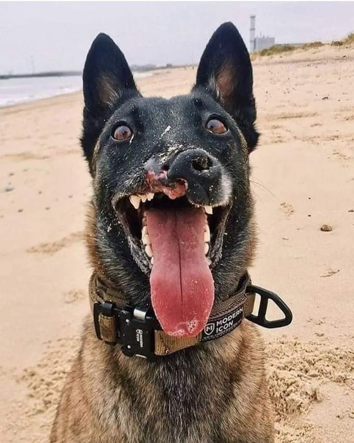 Personne ne m'aime 😞🥺 Parce que je suis un moche et je ne suis pas parfait 😔 J'espère que je recevrai un peu d'amour ici 🥺😢