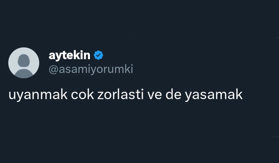 ANLIK (@anlikmod) on Twitter photo 