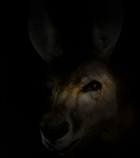 My Roger sense is tingling

It's especially attuned to sarcasm