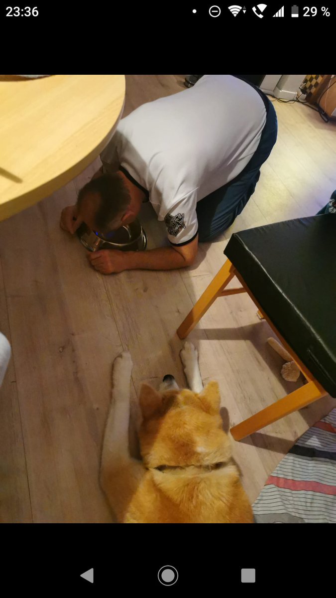 Sklave bekommt Futter Reste mit Spucke