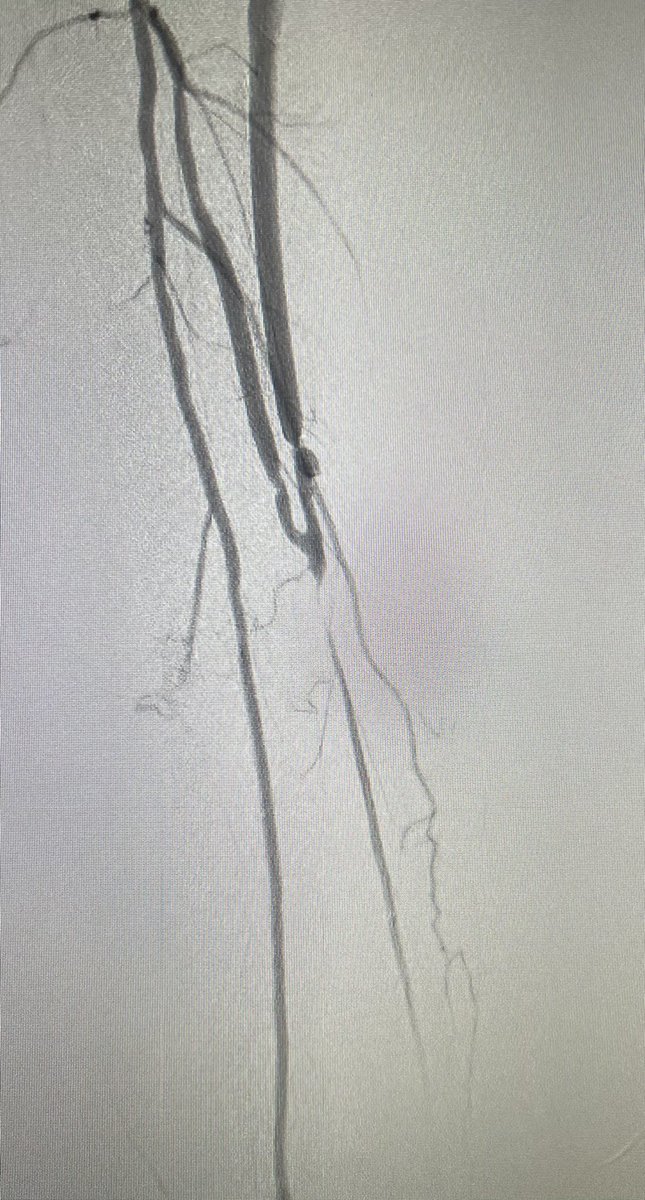 frank arko tweet media