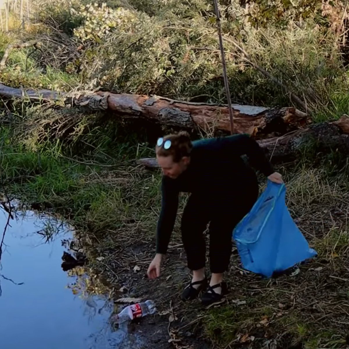 Oregon BottleDrop tweet media