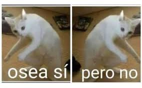 Leo Batista (@leoubatista) on Twitter photo 