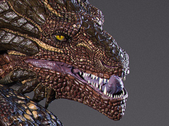 Apollo 👑 tweet media