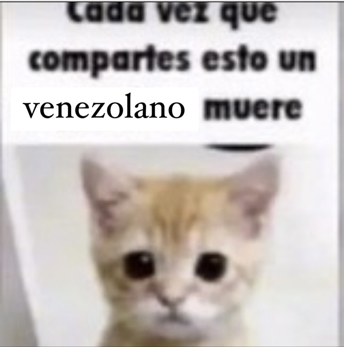 PADRES DO RIO DE JANEIRO🐉 (@uchjose0) on Twitter photo 