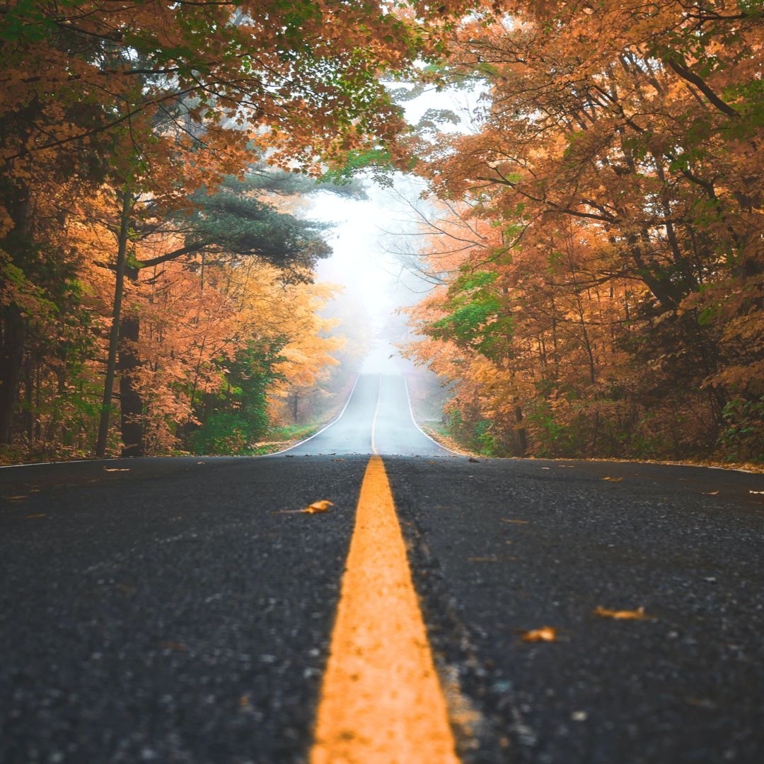 SusieLarson's tweet photo. May God inspire you to achieve a goal that He puts in your heart. May He stir up faith as you step up and step out. May He give you fresh conviction and discipline to say no to lesser things so you can say yes to His best plan for you. https://t.co/ztMS8ECePk