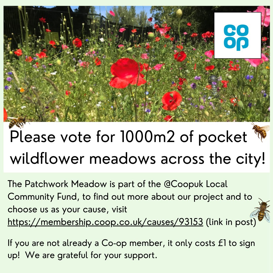 The Patchwork Meadow is part of the <a href="/Coopuk/">Co-op</a> Local Community Fund, to find out more about our project and to choose us as your cause, click here membership.coop.co.uk/causes/93153