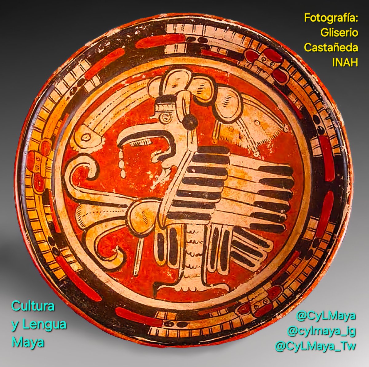 🏺 Cajete trípode estilo Kuy
⌛️ Clásico Tardío (600-900 d.C.)
🗺📌 Xcambó, Yucatán, México.
🏛 Colección del Museo Regional de Yucatán, Museo Palacio Cantón. actualmente exhibido en el Gran Museo del Mundo Maya en Mérida.
📸 Gliserio Castañeda-INAH
lugares.inah.gob.mx