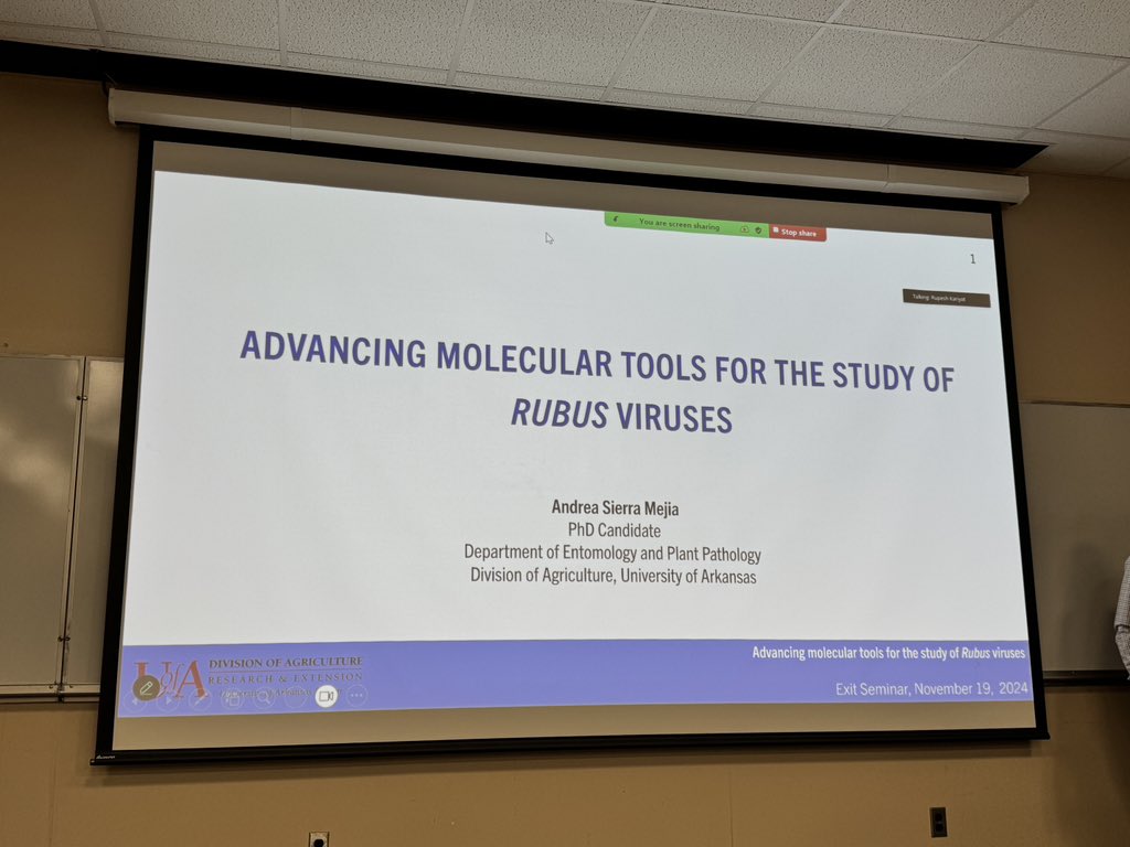 Clean_Plant_Arkansas (@clean_plant_ar) on Twitter photo Why infectious clones are one of the best approach to study virus interactions?
<a href="/SierramAndrea/">Andrea Sierra Mejia</a> addresses it in her research and presented her PhD Exit Seminar, kudos to her and <a href="/ytzanet/">Ioannis Tzanetakis</a> Congratulations <a href="/AginArk/">UA System Div of Ag</a> <a href="/UArkansas/">University of Arkansas</a> <a href="/Clean_Plant_AR/">Clean_Plant_Arkansas</a> Why infectious clones are one of the best approach to study virus interactions?
<a href="/SierramAndrea/">Andrea Sierra Mejia</a> addresses it in her research and presented her PhD Exit Seminar, kudos to her and <a href="/ytzanet/">Ioannis Tzanetakis</a> Congratulations <a href="/AginArk/">UA System Div of Ag</a> <a href="/UArkansas/">University of Arkansas</a> <a href="/Clean_Plant_AR/">Clean_Plant_Arkansas</a>