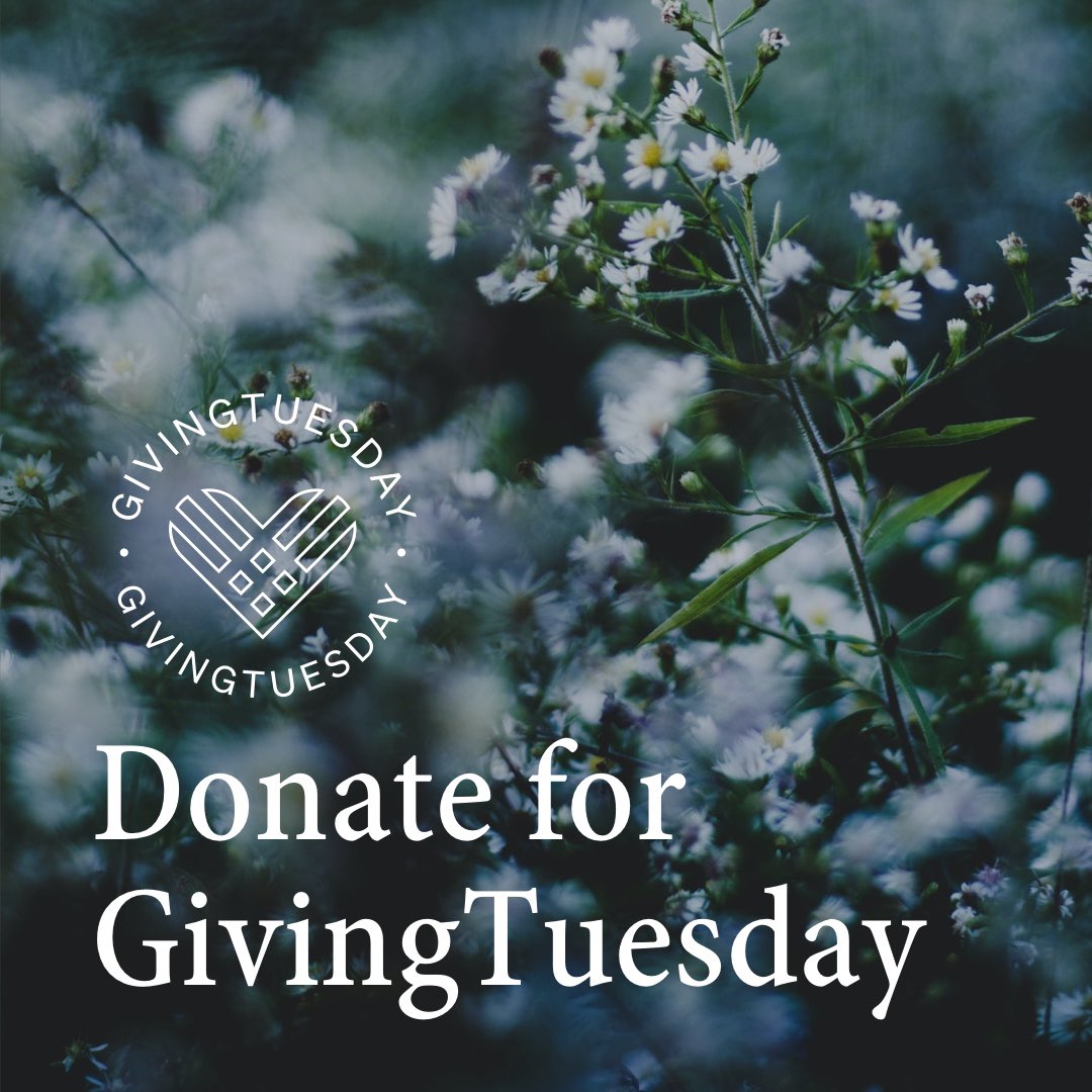 Malouf Foundation tweet media