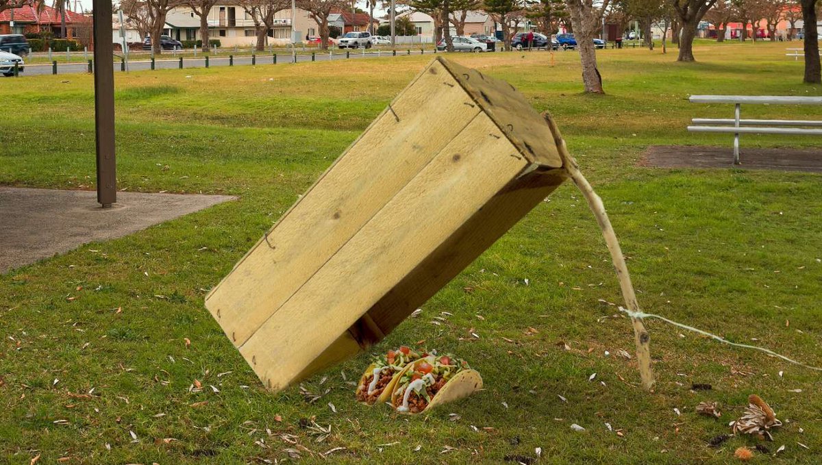 Trump To Round Up Illegals With Taco Trap buff.ly/3YVZCGj