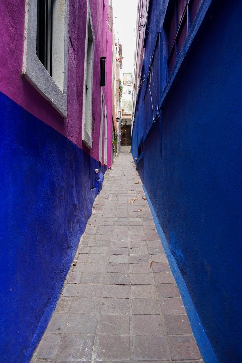 Guanajuato Capital Turismo tweet media