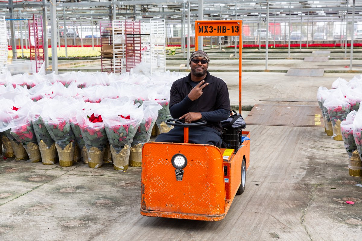 MetrolinaGreenhouses tweet media