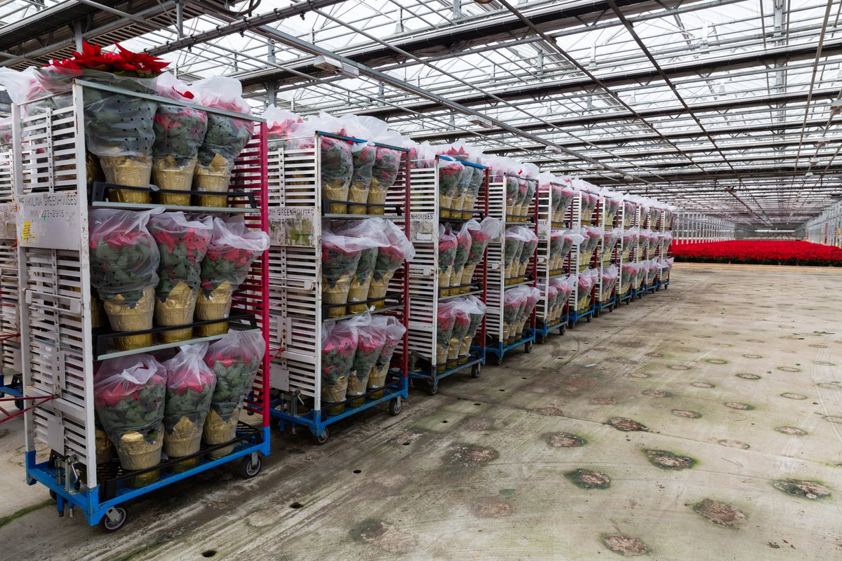 MetrolinaGreenhouses tweet media