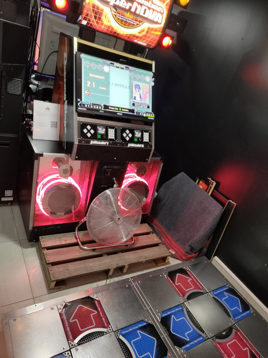 Tina 🌺 tweet media