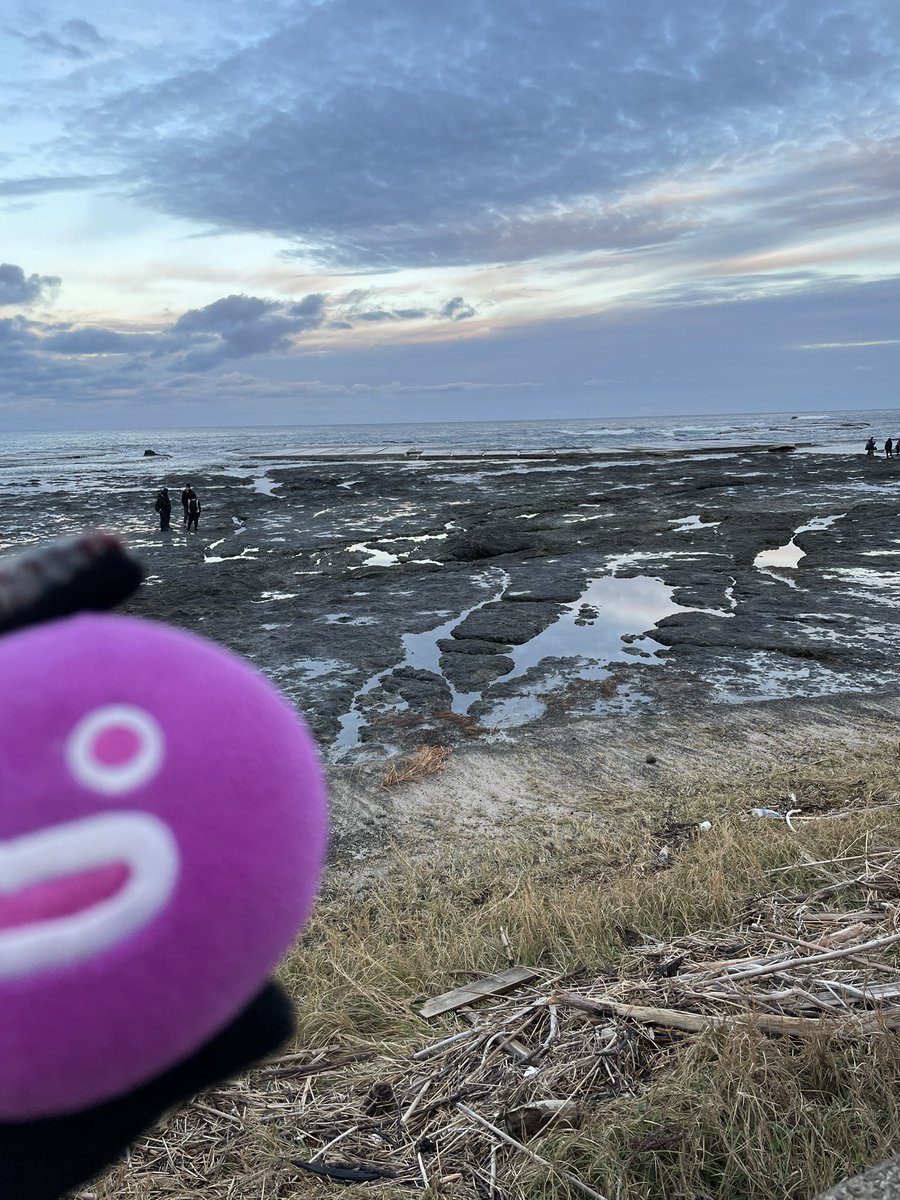 glay09031's tweet photo. ロケ地行ってきました
 #佐渡
 #GLAY
 #万敷畳 https://t.co/eXeh0ORypk