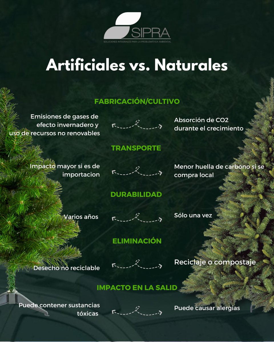 SIPRAmx's tweet photo. ¡Navidad está a la vuelta! 🌲 Y ya vemos pinos por todos lados. ¿Somos irresponsables si optamos por un pino natural? ¿Cuidamos más el planeta si usamos uno artificial? Lean nuestro posteo y decidan por lo mejor. 😇 https://t.co/rslbkgnJYW