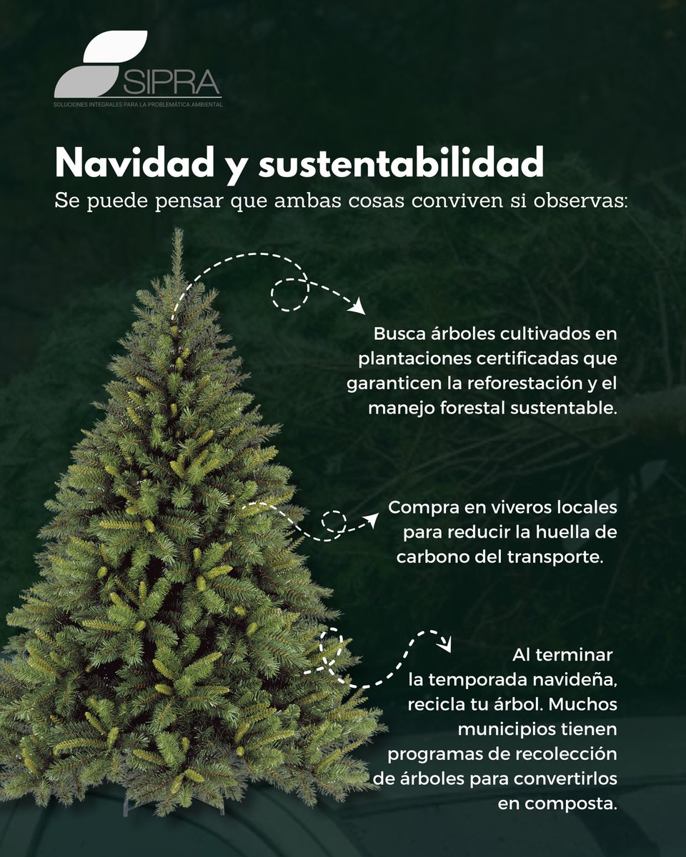 ¡Navidad está a la vuelta! 🌲 Y ya vemos pinos por todos lados. ¿Somos irresponsables si optamos por un pino natural? ¿Cuidamos más el planeta si usamos uno artificial? Lean nuestro posteo y decidan por lo mejor. 😇