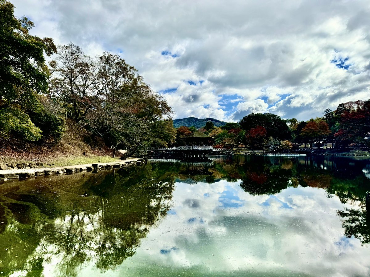 frescomachui's tweet photo. 人力車は走る🏃‍♂️‍➡️ https://t.co/4terQYKja3