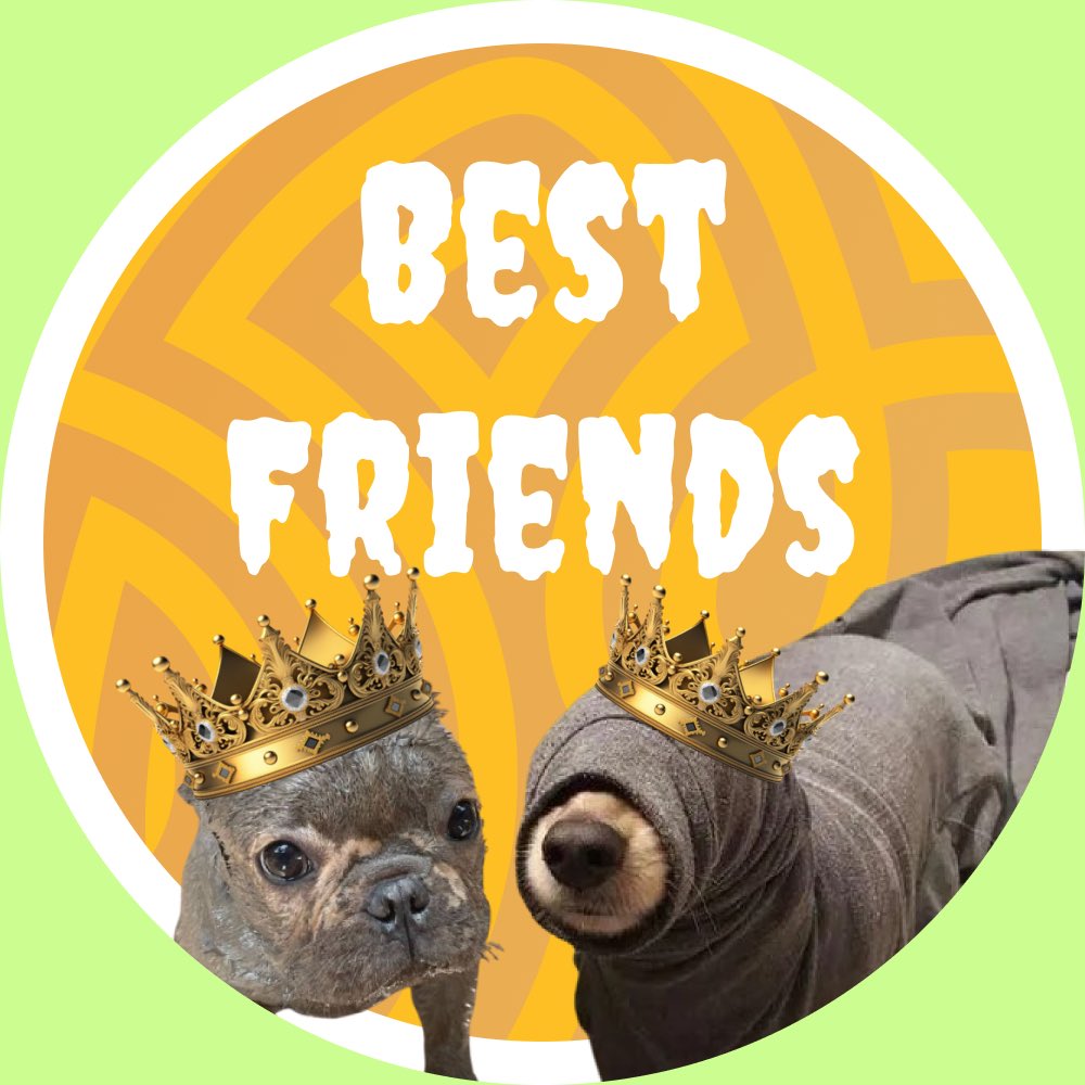 Hiddo | SuDog tweet media