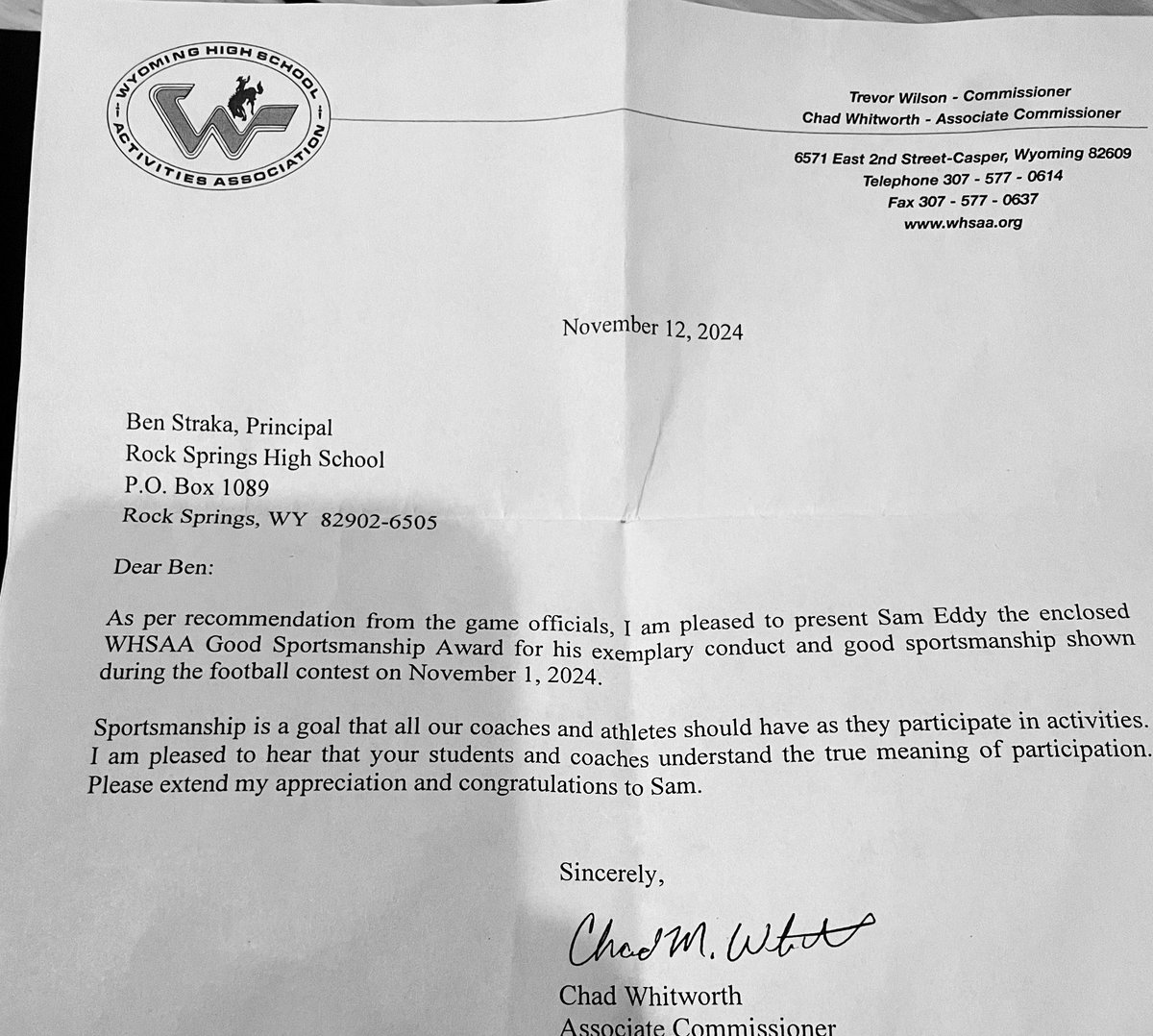 Sam Eddy tweet media