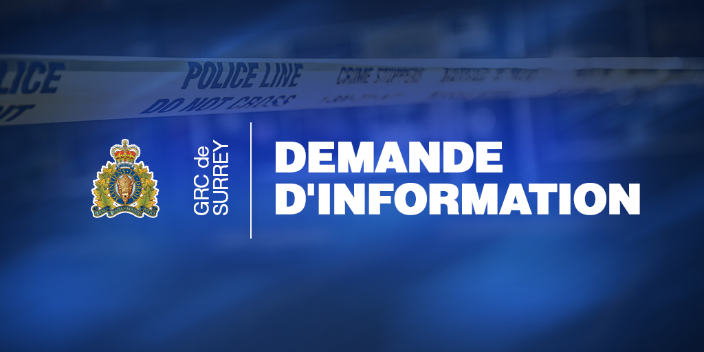 GRCdeSurrey's tweet photo. Le Détachement de la GRC de Surrey demande l’aide du public concernant une agression ayant eu lieu à Newton le 14 novembre 2024. / https://t.co/ZW6CBHq5qN https://t.co/ufvUww1pNi