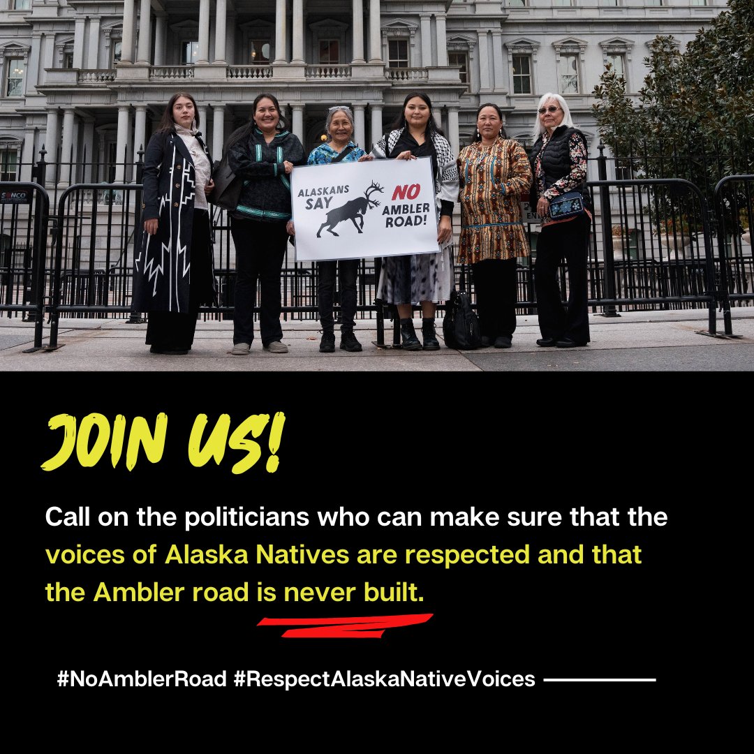 Native Movement tweet media