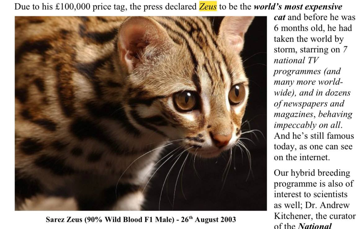 Still the most expensive cat ever sold a decade later 

$Zeus