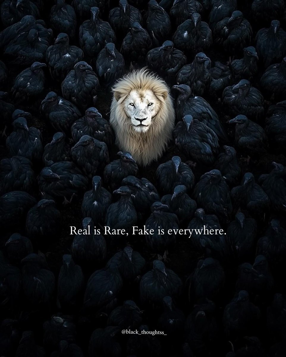 Mind Essentials (@mind_essentials) on Twitter photo 