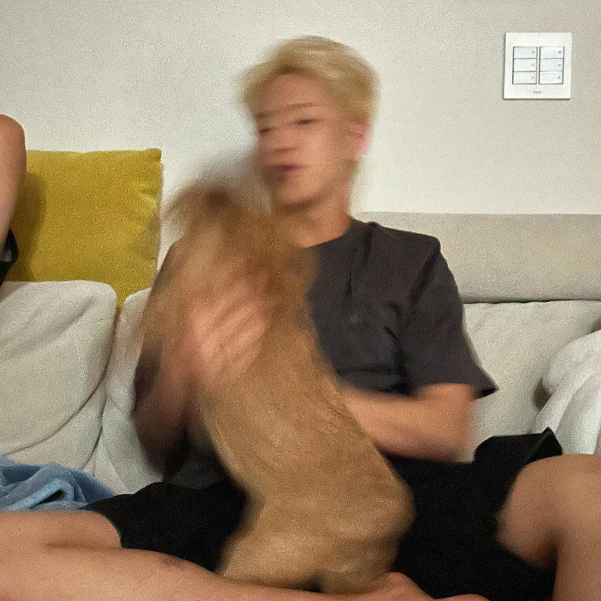 _tigerinmymind's tweet photo. 241120 라떼 인스타그램 #호시 https://t.co/Sn9XivjM8j