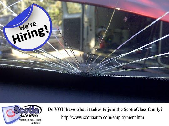 scotiaautoglass's tweet photo. Looking for a hands-on career with great pay and growth? 🚗💪 Scotia Auto Glass is hiring a Windshield Repair &amp; Replacement Tech! Whether you’re experienced or ready to learn, join a team that values skill, precision, and hard work. Make an impact—apply today! #AutoTech #hiring https://t.co/4ZU2IFIba8