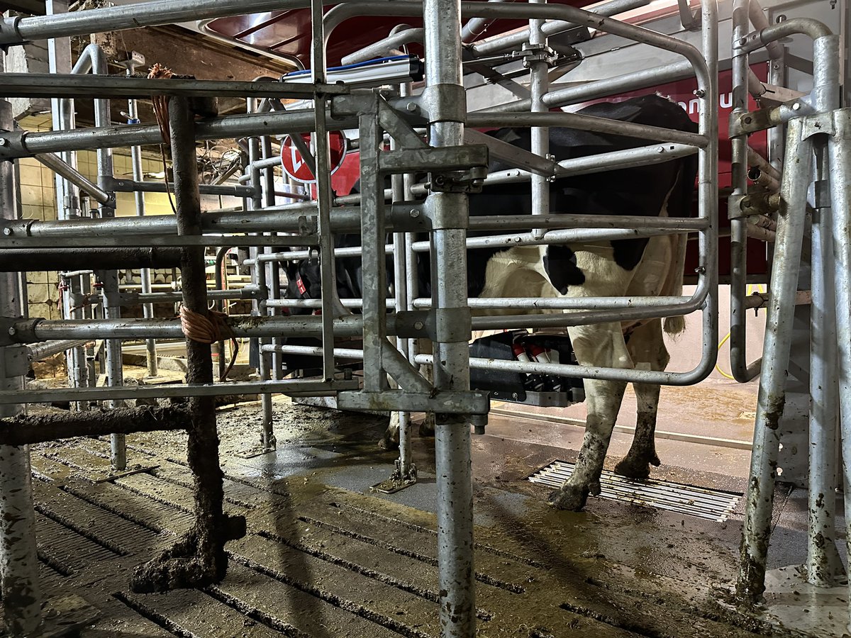 MartijntHorst's tweet image. Een nacht doorhalen en helpen met opstarten #melkrobot💪 @LelyHolding