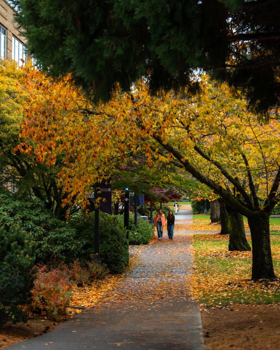 University Of Portland tweet media