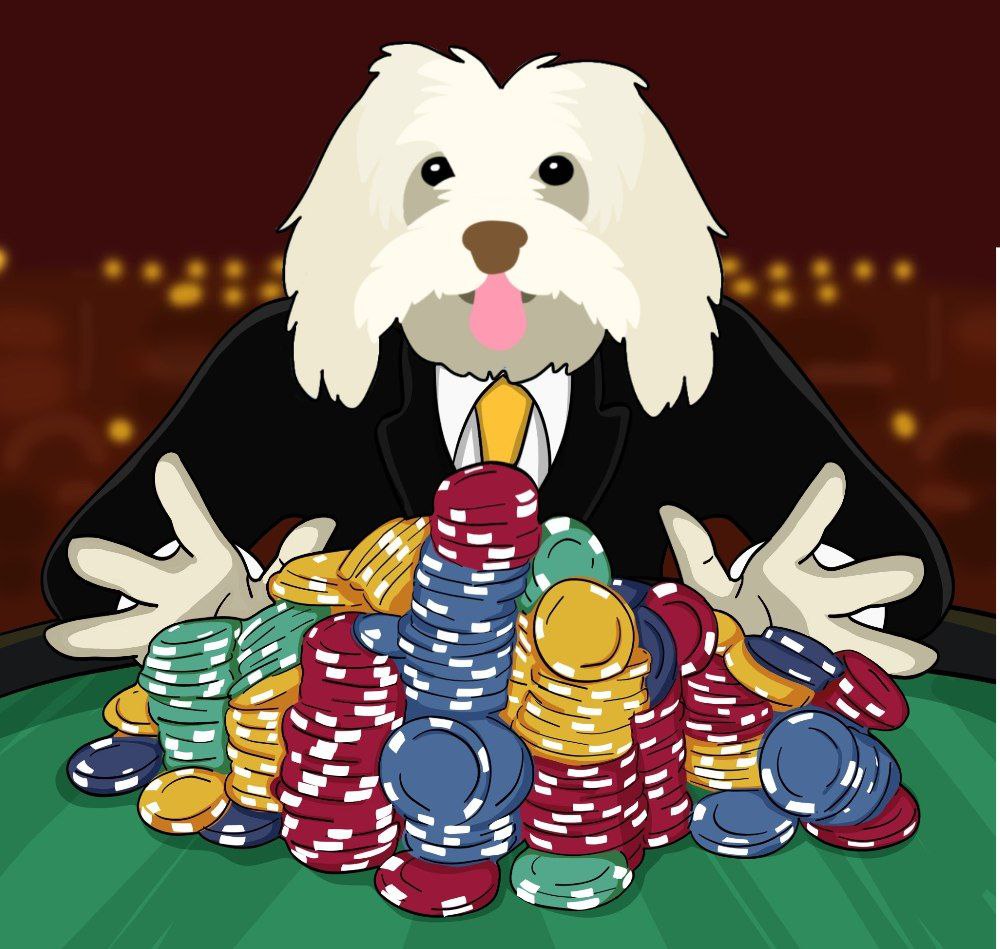 UniSuiCoin's tweet photo. The $SUI dog is steppin' in 🐶 https://t.co/yAHSZZPNDK