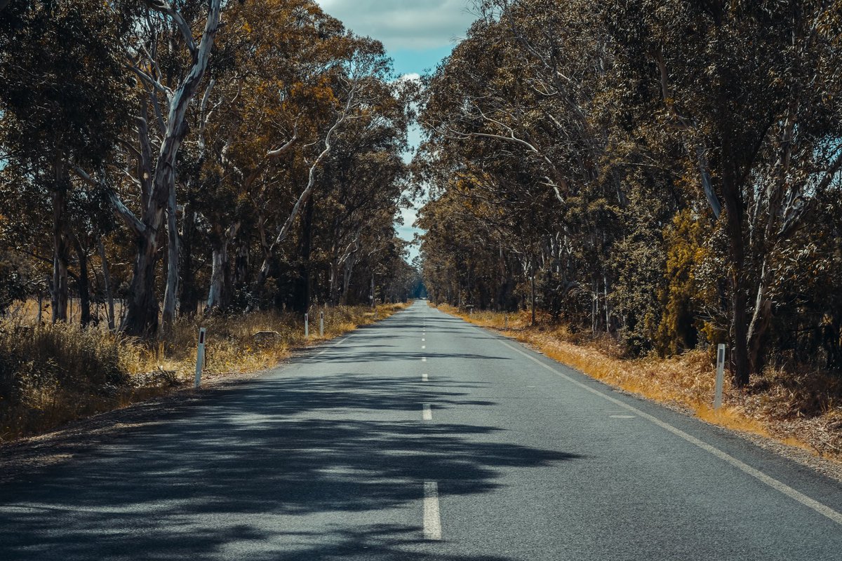 KodyBlock2's tweet photo. Springtime in Australia https://t.co/LNkl8kz72L