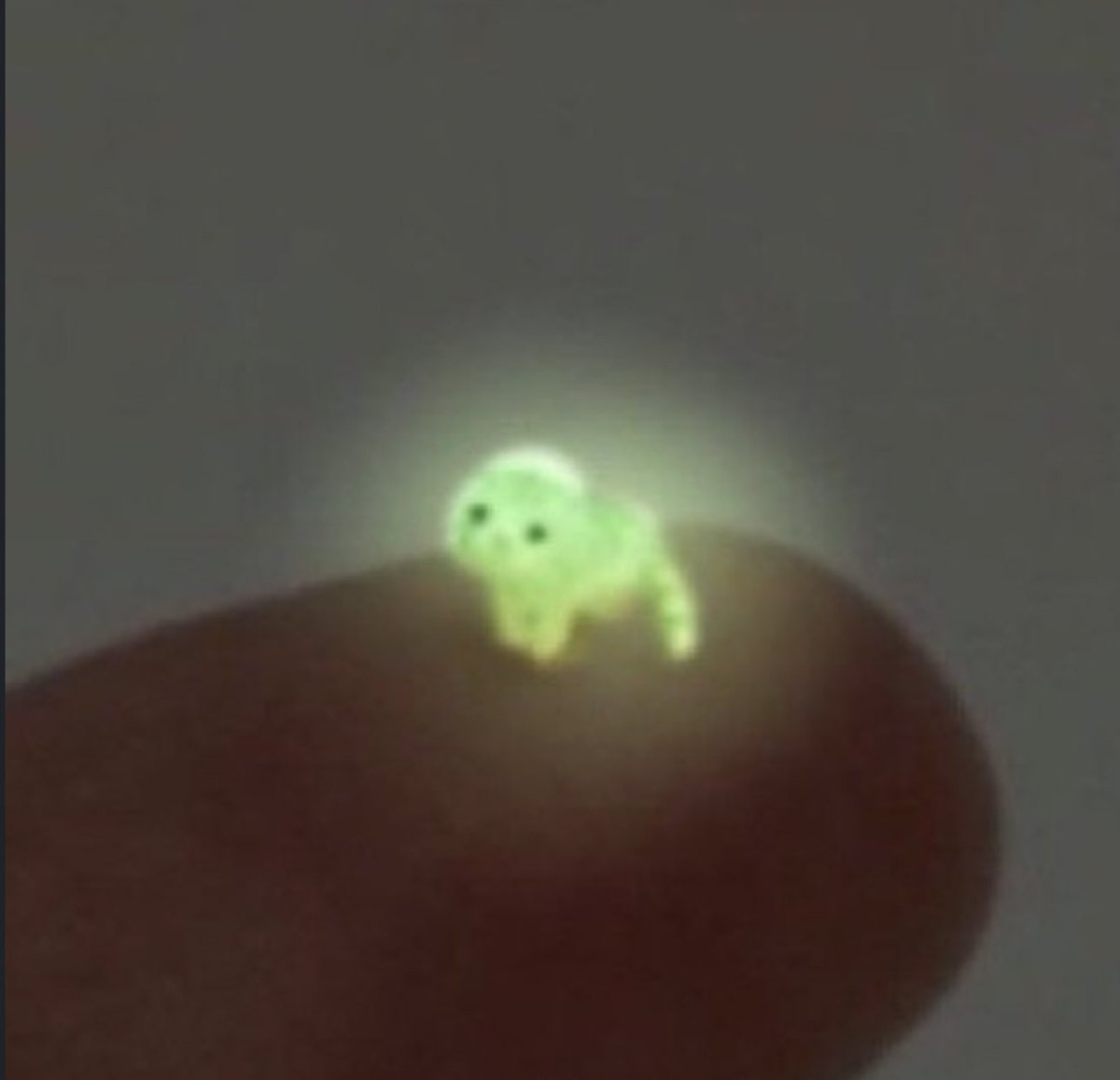 Hi  Im   Radioactive  and       Soon You too