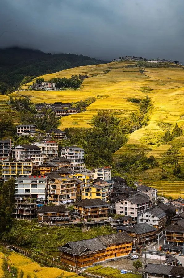 广西桂林  雨后的龙脊梯田