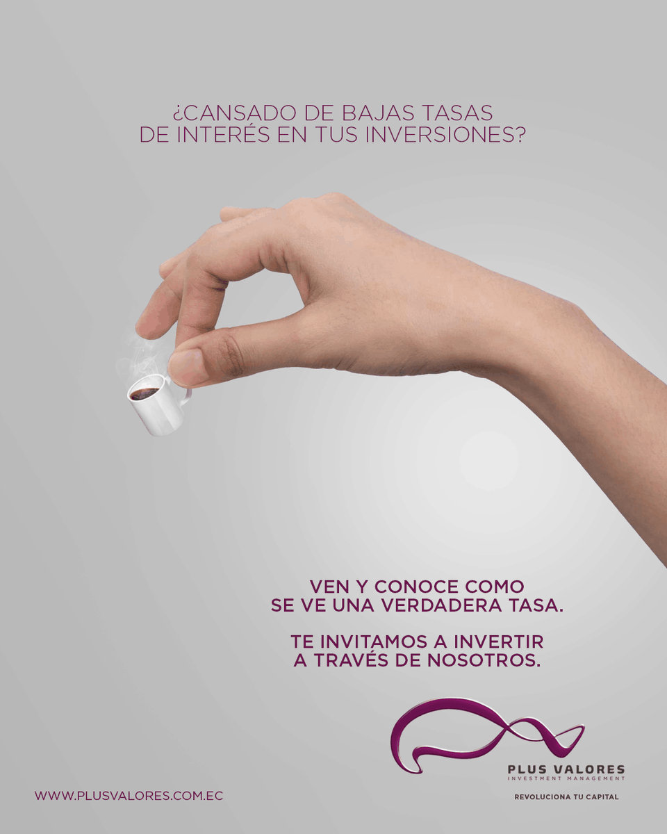 Plus Valores - Investment Management tweet media