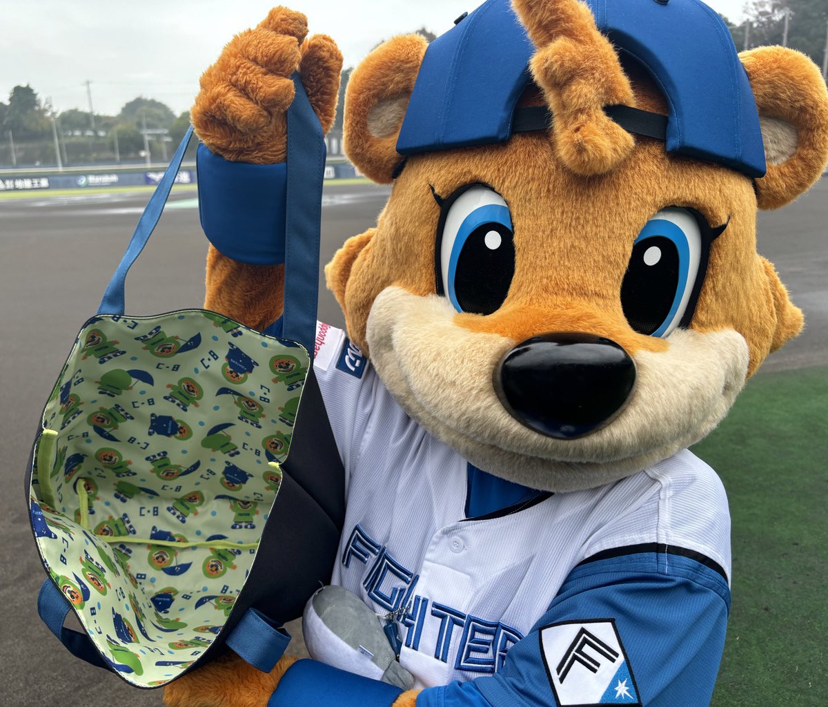 鎌スタ グッズ福袋 F FESにて発売決定‼️🎉 ＼ 選手サイン入ホームラン