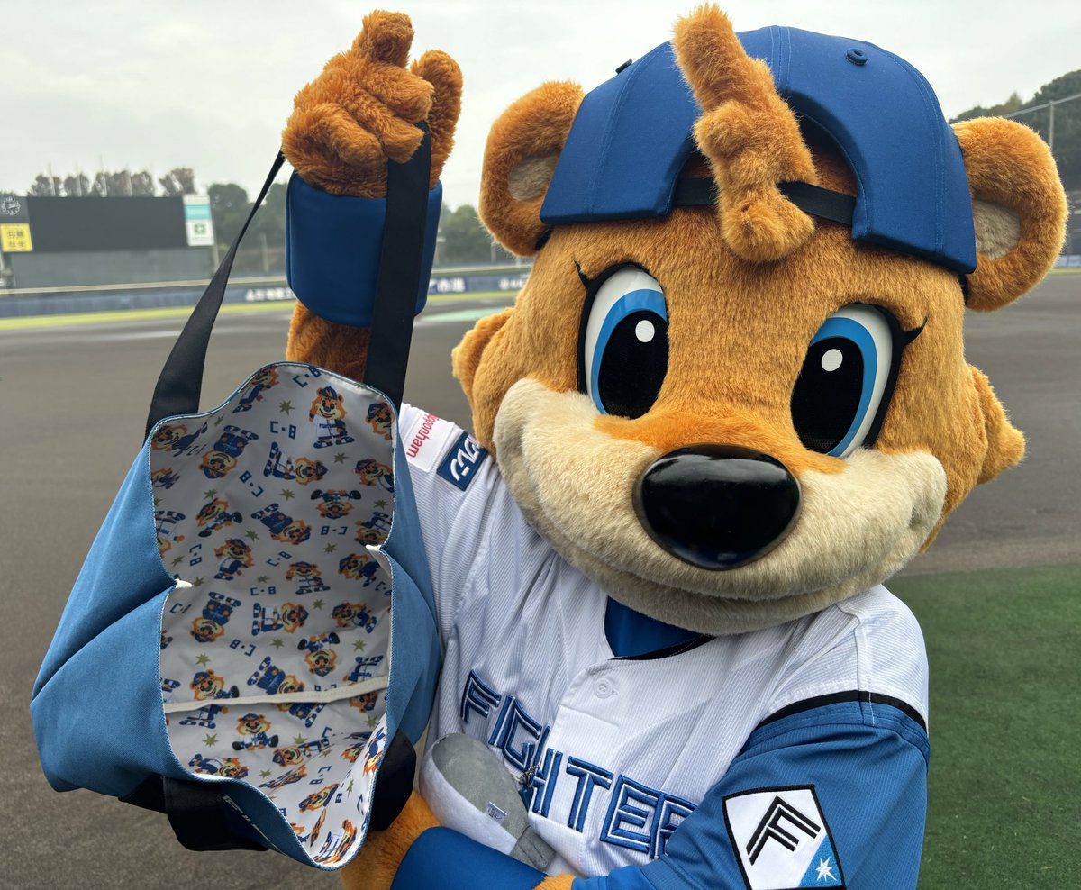 鎌スタ グッズ福袋 F FESにて発売決定‼️🎉 ＼ 選手サイン入ホームラン